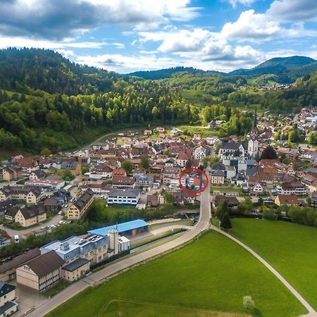 Ferienwohnung Kleine Auszeit Schonau im Schwarzwald Ngoại thất bức ảnh