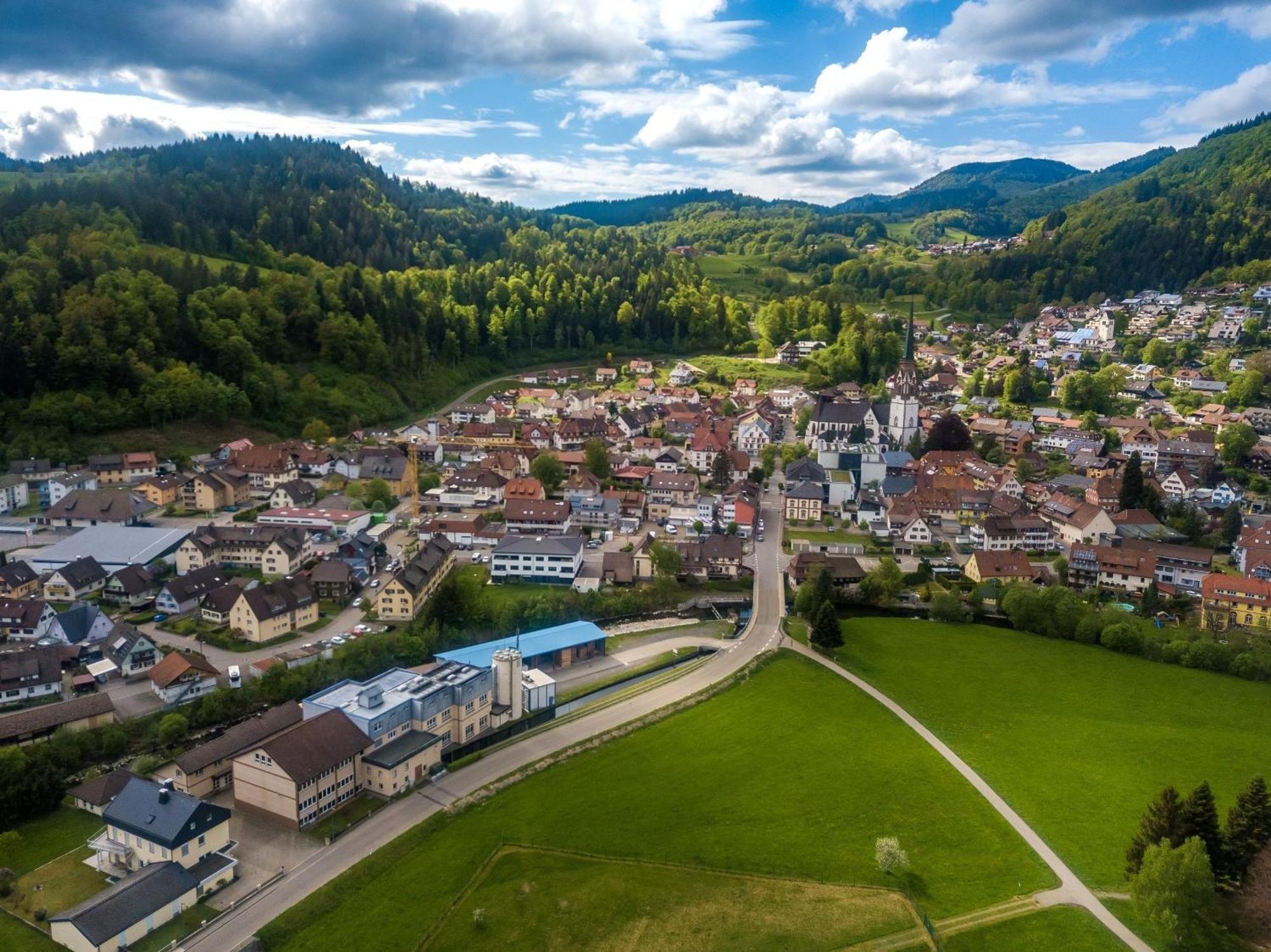 Ferienwohnung Kleine Auszeit Schonau im Schwarzwald Ngoại thất bức ảnh