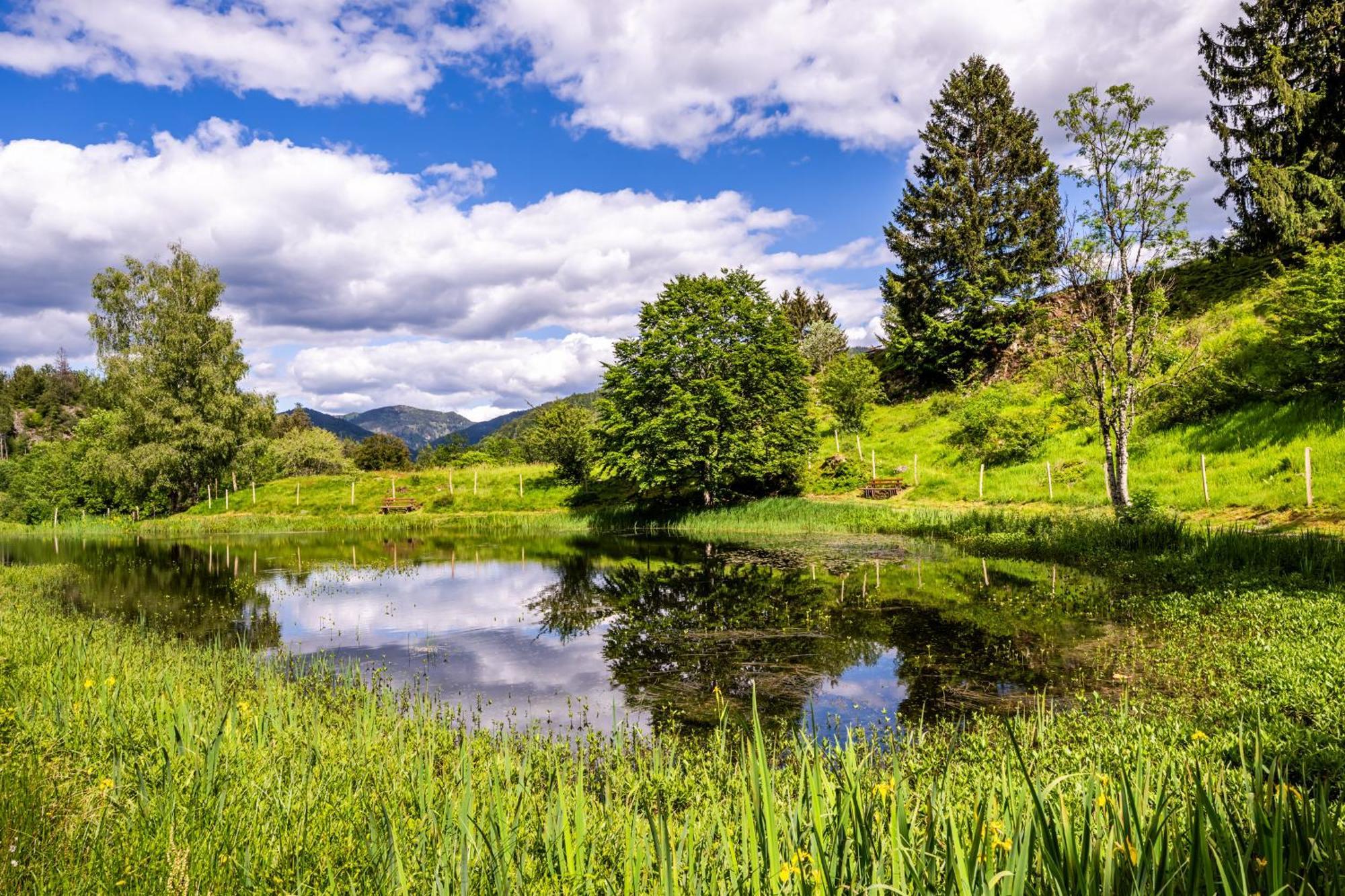Ferienwohnung Kleine Auszeit Schonau im Schwarzwald Ngoại thất bức ảnh