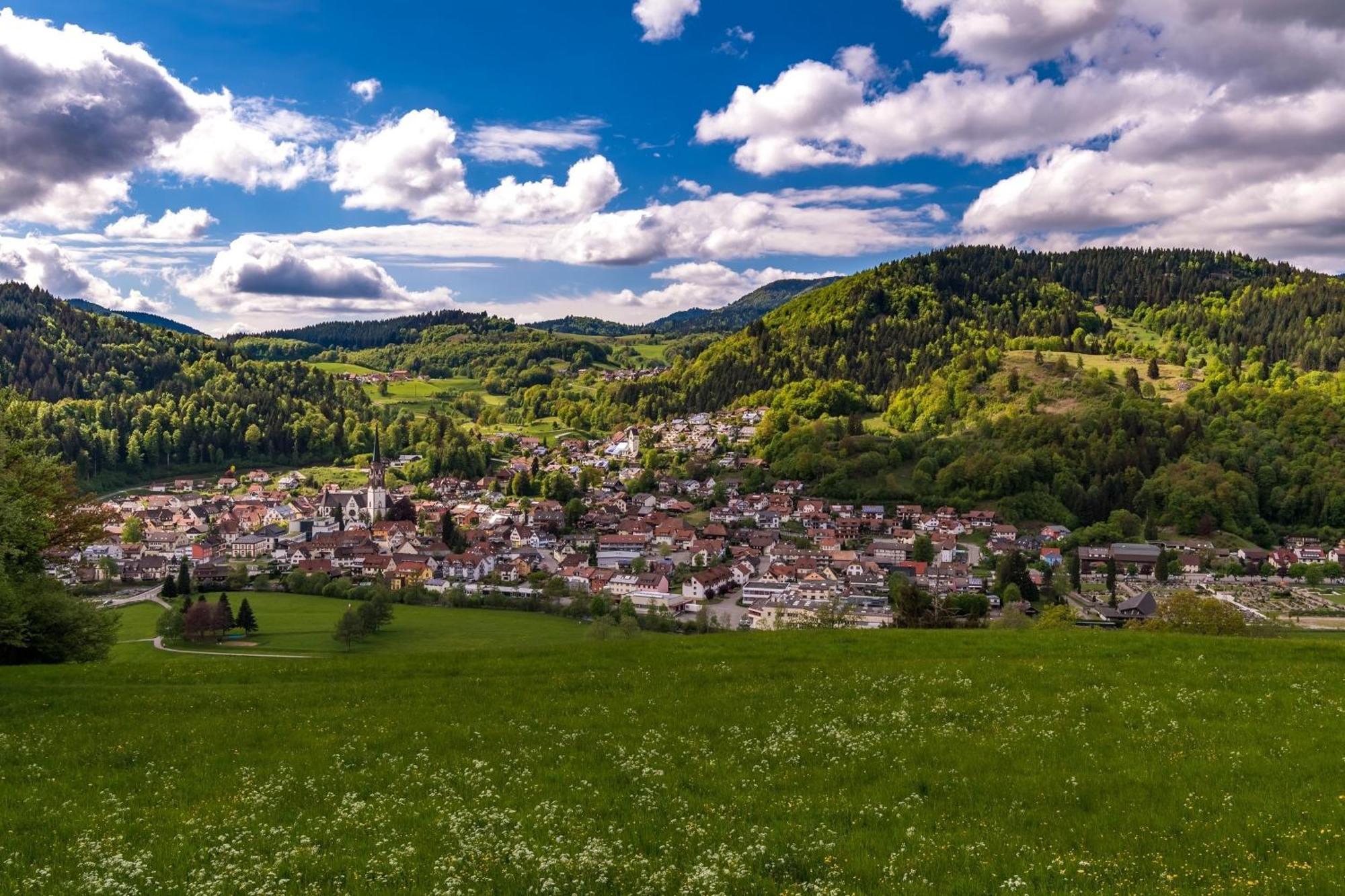 Ferienwohnung Kleine Auszeit Schonau im Schwarzwald Ngoại thất bức ảnh