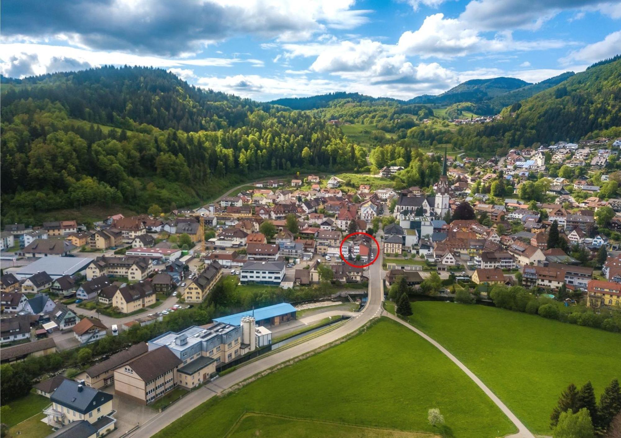 Ferienwohnung Kleine Auszeit Schonau im Schwarzwald Ngoại thất bức ảnh